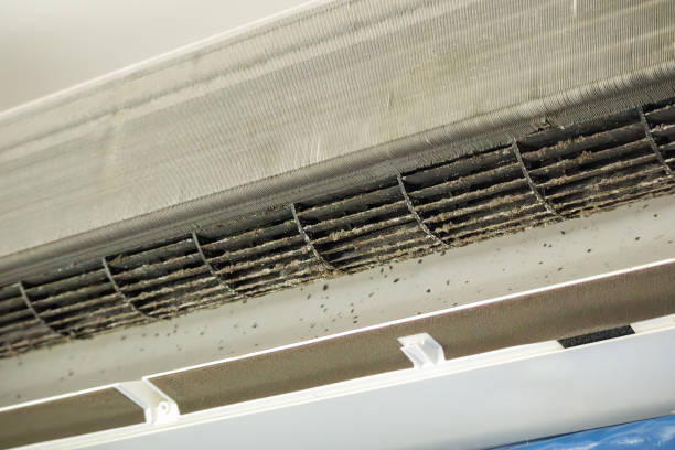 Best Affordable HVAC Duct Cleaning  in Paterson, NJ